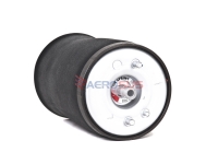 BMW X5 E53 Sport Pneimoatspere aizmugurējais kreisais