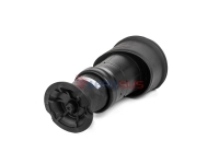 Citroen Picasso C4 Pneimoatspere